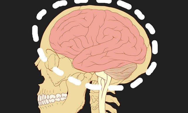 Holistic Teaching: 20 Reasons Why Educators Should Consider a Student's Emotional Well-Being