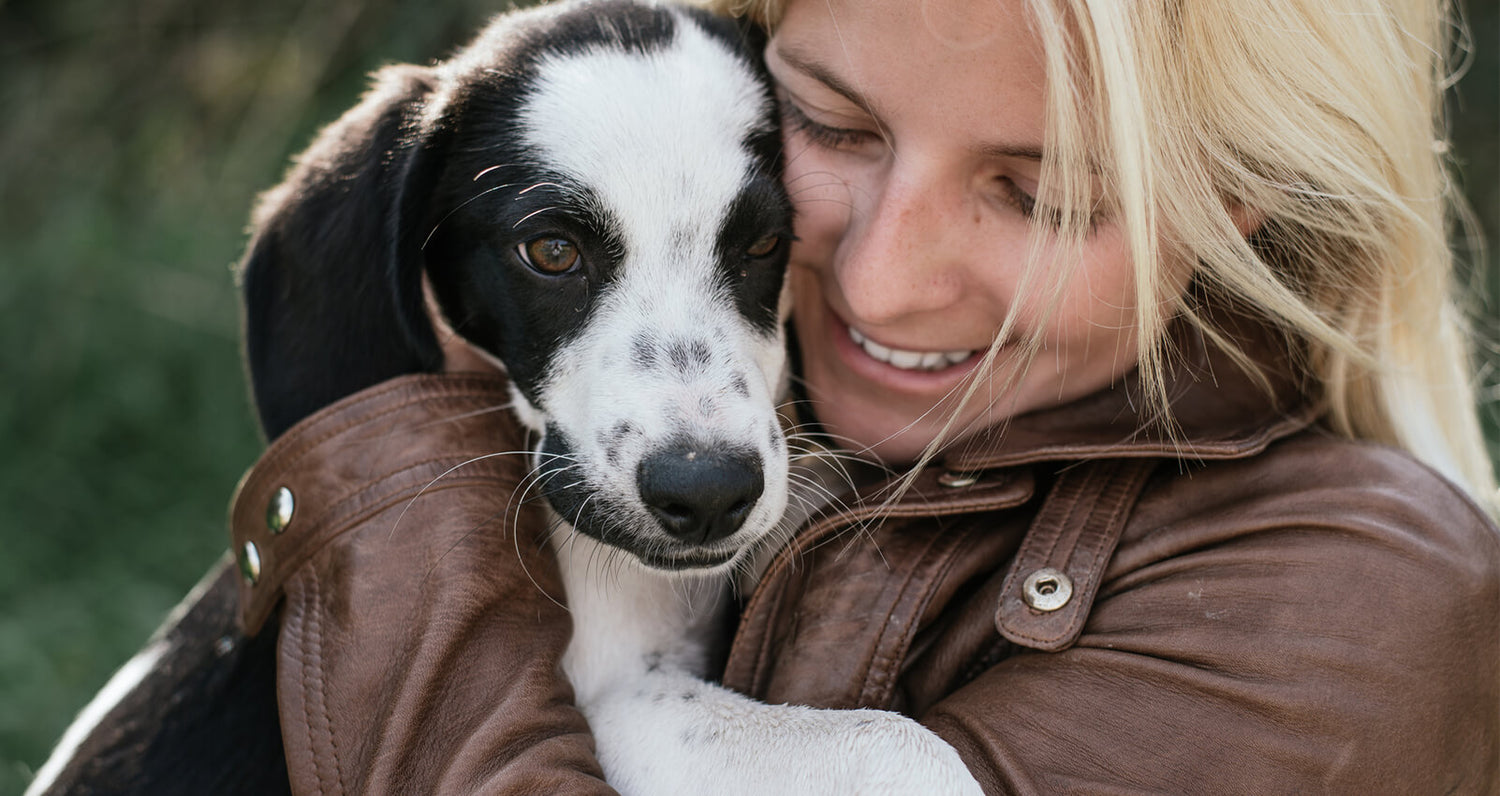 How to start a successful dog walking business