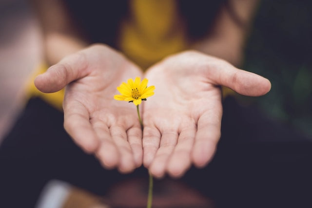 The Gift of Failure: 50 Tips for Teaching Students How to Fail Well